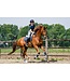 ANKY Dressage Proficient Dark Navy Boots w/Fur