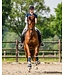 ANKY Dressage Proficient Dark Navy Boots w/Fur