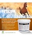 Lozana Santé Psyllium Defense