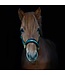 Back On Track PP Werano Hunter Green Halter