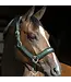 Back On Track PP Werano Hunter Green Halter