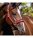 Back On Track PP Werano Wine Red Halter