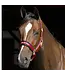 Back On Track PP Werano Wine Red Halter