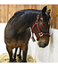 Back On Track PP Werano Wine Red Halter