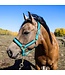 Back On Track PP Werano Tropical Blue Halter