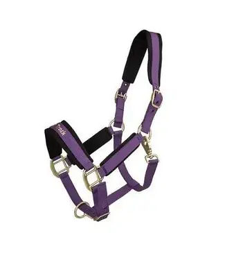 Back On Track Licou PP Werano Bright Purple