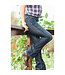 Ariat R.E.A.L. Mid Rise Arrow Fit Jocelyn BootCut Jean