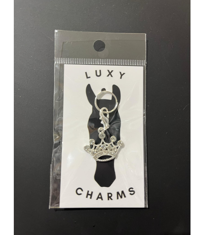 Luxy Charms Couronne large avec faux diamants