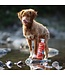 Thrive Salmon Oil