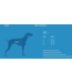 RC Pets Harnais pour Chien Momentum Control Azalea