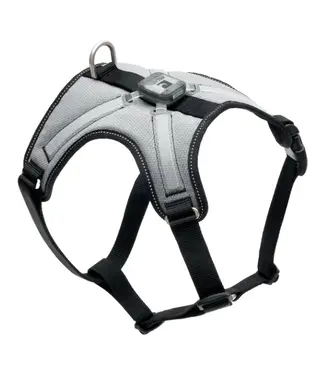 RC Pets Nova LED Light Harness