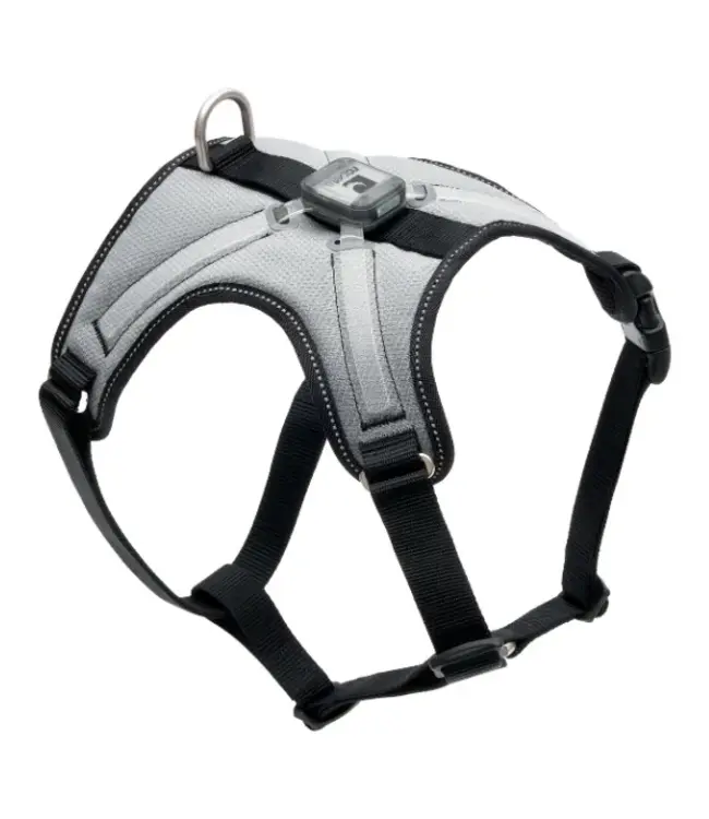 RC Pets Nova LED Light Harness