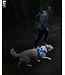 RC Pets Harnais Light Nova LED
