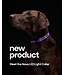 RC Pets Collier Nova LED Light Noir