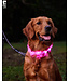 RC Pets Nova LED Light Collar