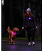 RC Pets Collier Nova LED Light Noir