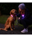 RC Pets Collier Nova LED Light Noir