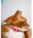 RC Pets Lil Heart Kitty Breakaway Collar