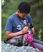 RC Pets Laisse en Nylon Primary Azalea