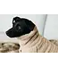 Kentucky Dogwear Sweater Teddy Fleece Beige