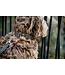 Kentucky Dogwear Pied-De-Poule Dog Collar