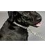 Kentucky Dogwear Laisse en Nylon Pied-De-Poule Brun