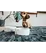 Kentucky Dogwear Feeding Grey Marble Bowl