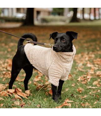 Kentucky Dogwear Sweater Beige Teddy Fleece pour Chien