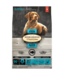 Oven-Baked Tradition Recette Sans Grains au Poisson pour Chien