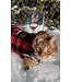 Oven-Baked Tradition Grain-Free Duck Food for Cats
