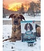 Oven-Baked Tradition Semi-Moist Fish Food for Adult Dogs