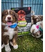 Oven-Baked Tradition Chicken Food for All Breed Puppies
