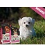 Oven-Baked Tradition Original Lamb Food for Small Breed Puppies