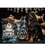 Oven-Baked Tradition Original Fish Recipe for Large Breed Adult Dogs