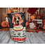 Oven-Baked Tradition Original Lamb Recipe for All Breed Adult Dogs