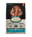 Oven-Baked Tradition Recette Originale au Poisson pour Chien