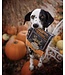 Oven-Baked Tradition All Natural Soft & Chewy Grain-Free Treats