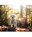 Oven-Baked Tradition Natural Grain-Free Dog Treats
