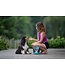 Oven-Baked Tradition Natural Grain-Free Dog Treats