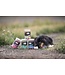 Oven-Baked Tradition Dental Chew Sticks for Dogs