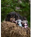 Oven-Baked Tradition Dental Chew Sticks for Dogs