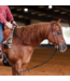 Professional's Choice Draw Rein en Corde avec Ajustement Stoppers
