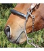 Professional's Choice Hackamore Brittany Pozzi