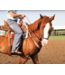 Professional's Choice Hackamore Brittany Pozzi