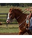 Professional's Choice Hackamore Brittany Pozzi