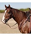 Professional's Choice Infinity Braid Breast Collar