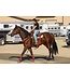 Professional's Choice Double & Stitched Rear Flank Cinch