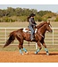 Professional's Choice Laced Barrel Reins