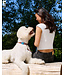 RC Pets Laisse en Nylon Jurassic Pack
