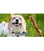 DogginStix Braided Lamb Collagen